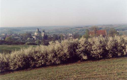 Panorama Klimontowa