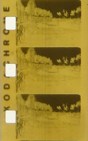 Film Kodachrome 40 wywoany na negatyw czarno - biay