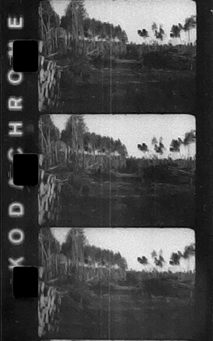 Film Kodachrome zeskanowany w odcieniach szaroci