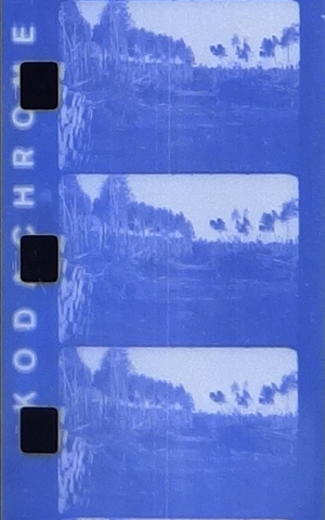 Film Kodachrome zeskanowany w kolorze